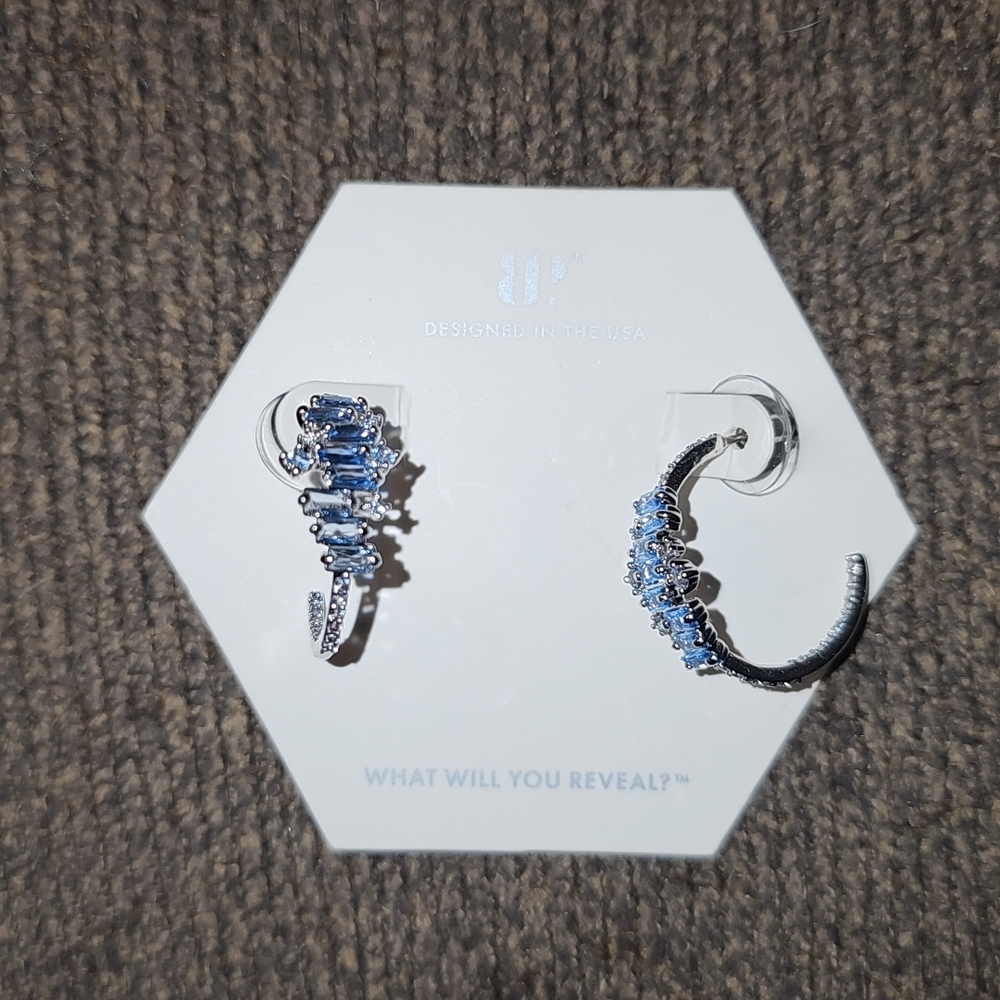 Stunning Blue Silver Earrings